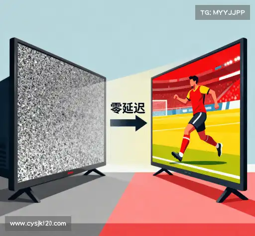 为什么选择我们